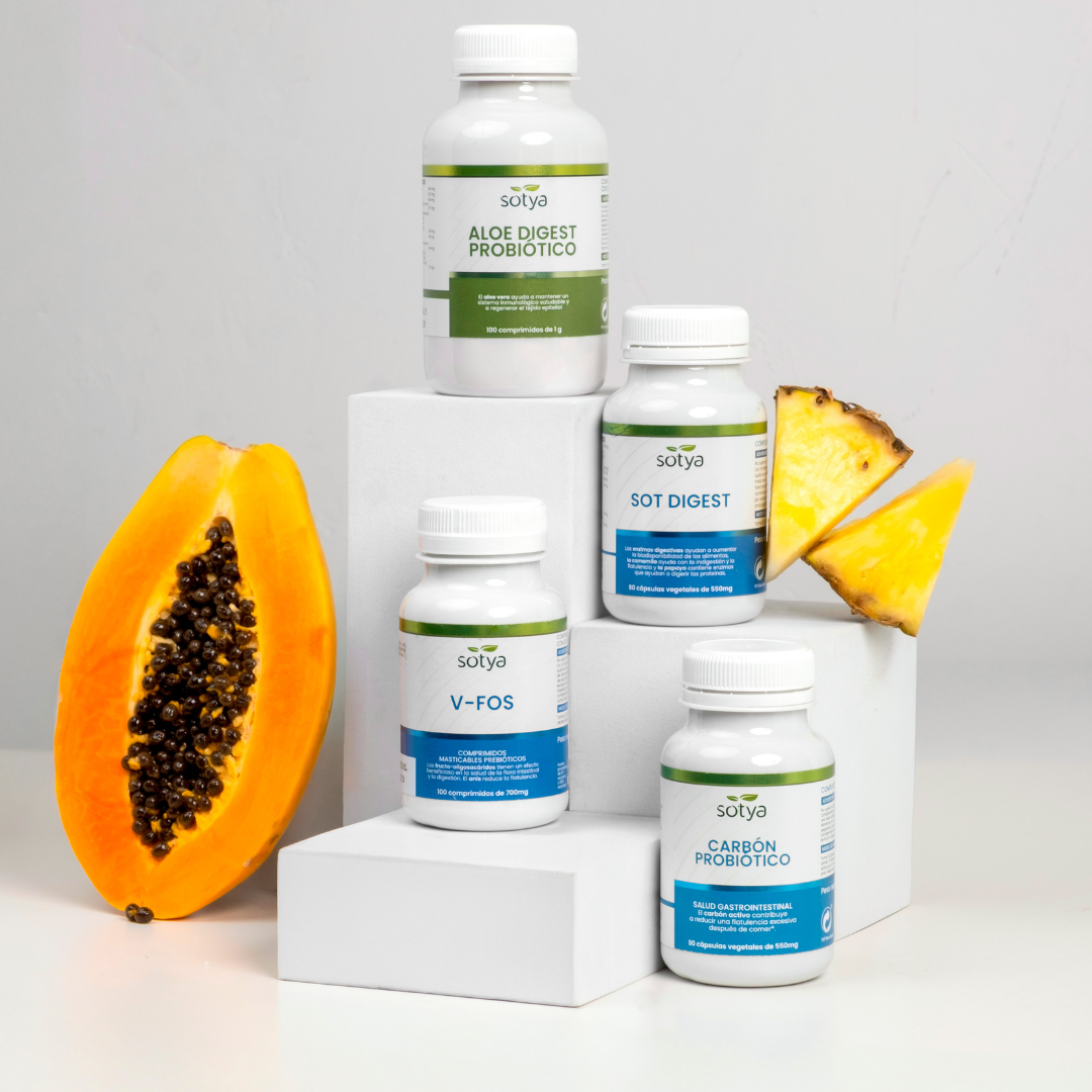 Aloe Digest Próbiotico 100 comprimidos de 1g