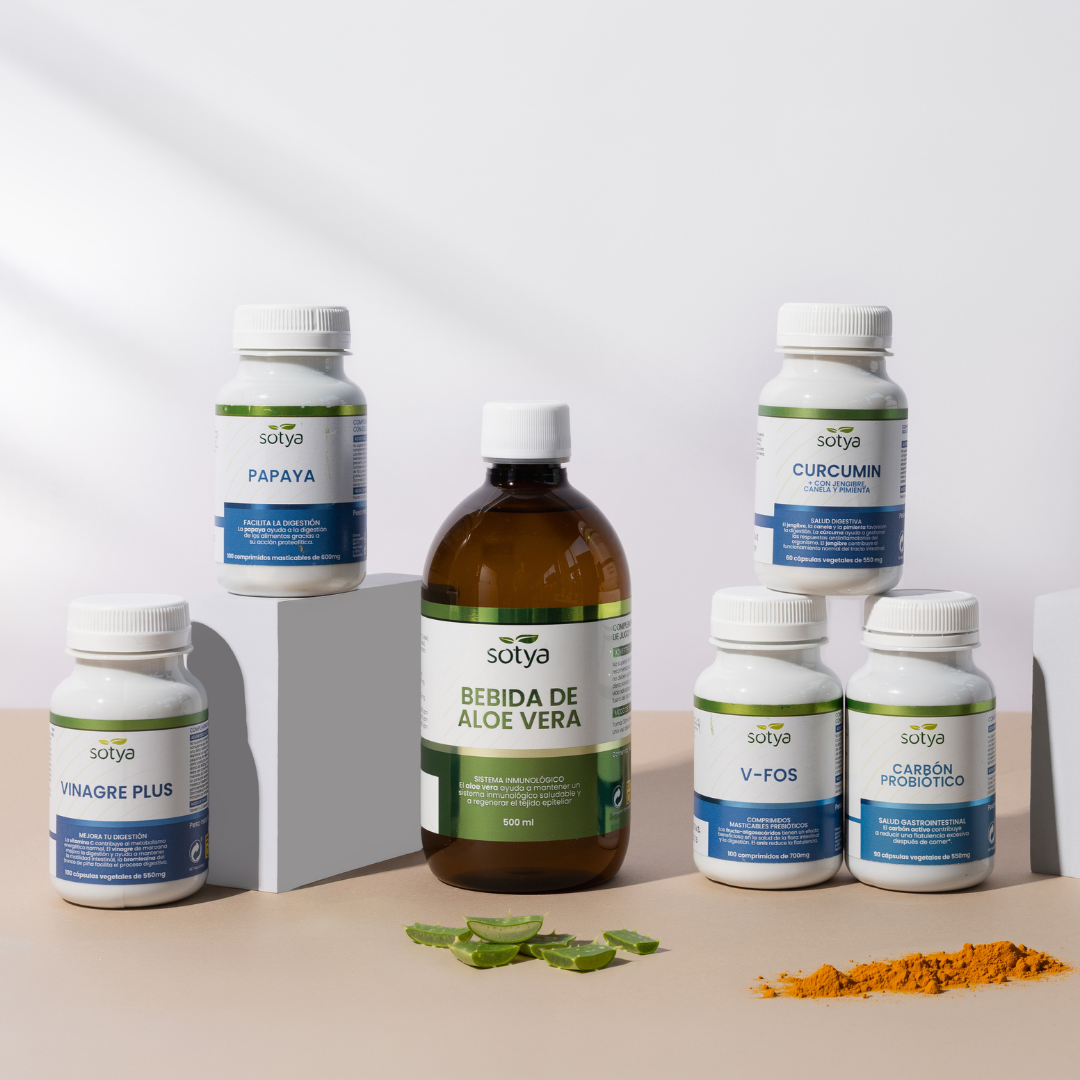 Bebida de Aloe Vera 500ml