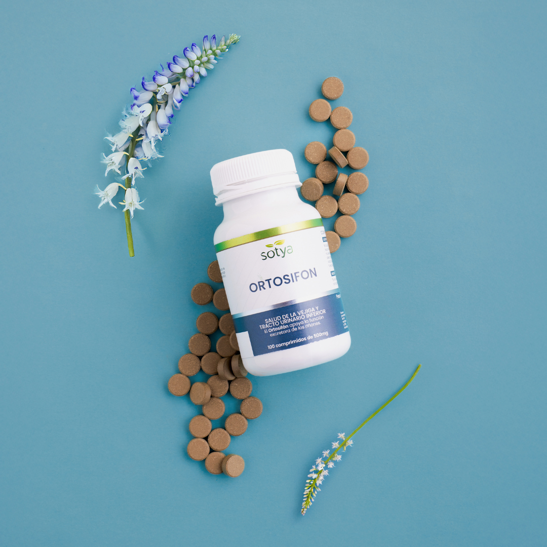 Ortosifón 100 500mg Tablets