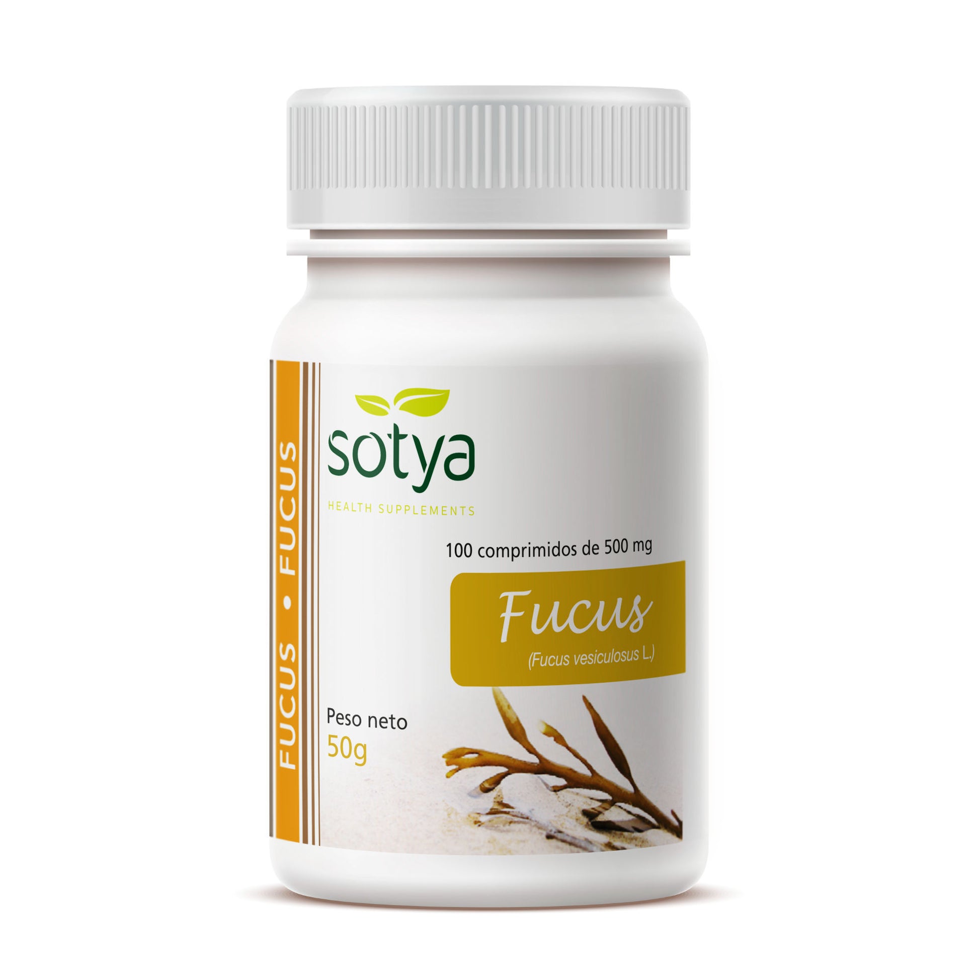 FUCUS - Sotya