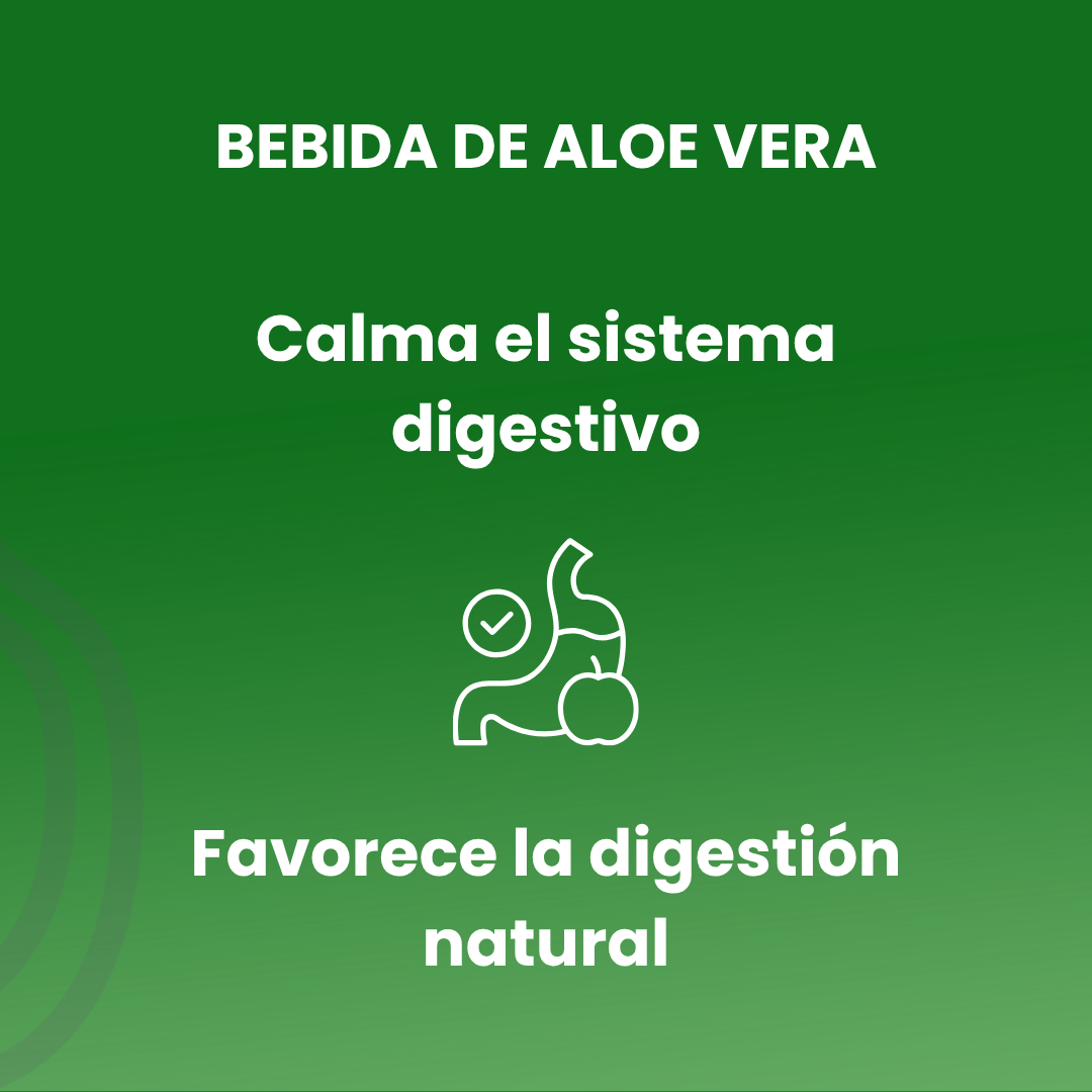 Bebida de Aloe Vera 500ml