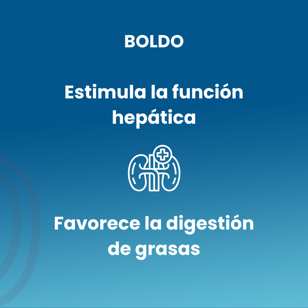 Boldo 100 500mg Tablets