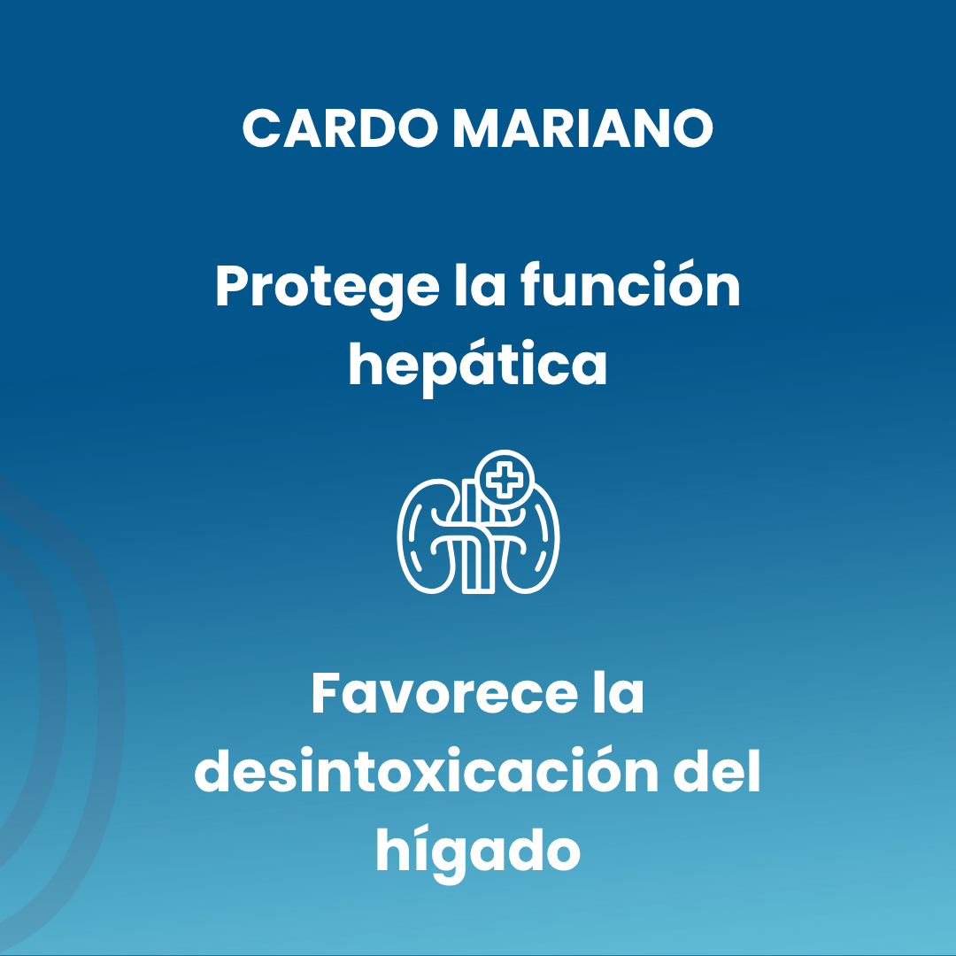 Cardo mariano 100 comprimidos de 500mg