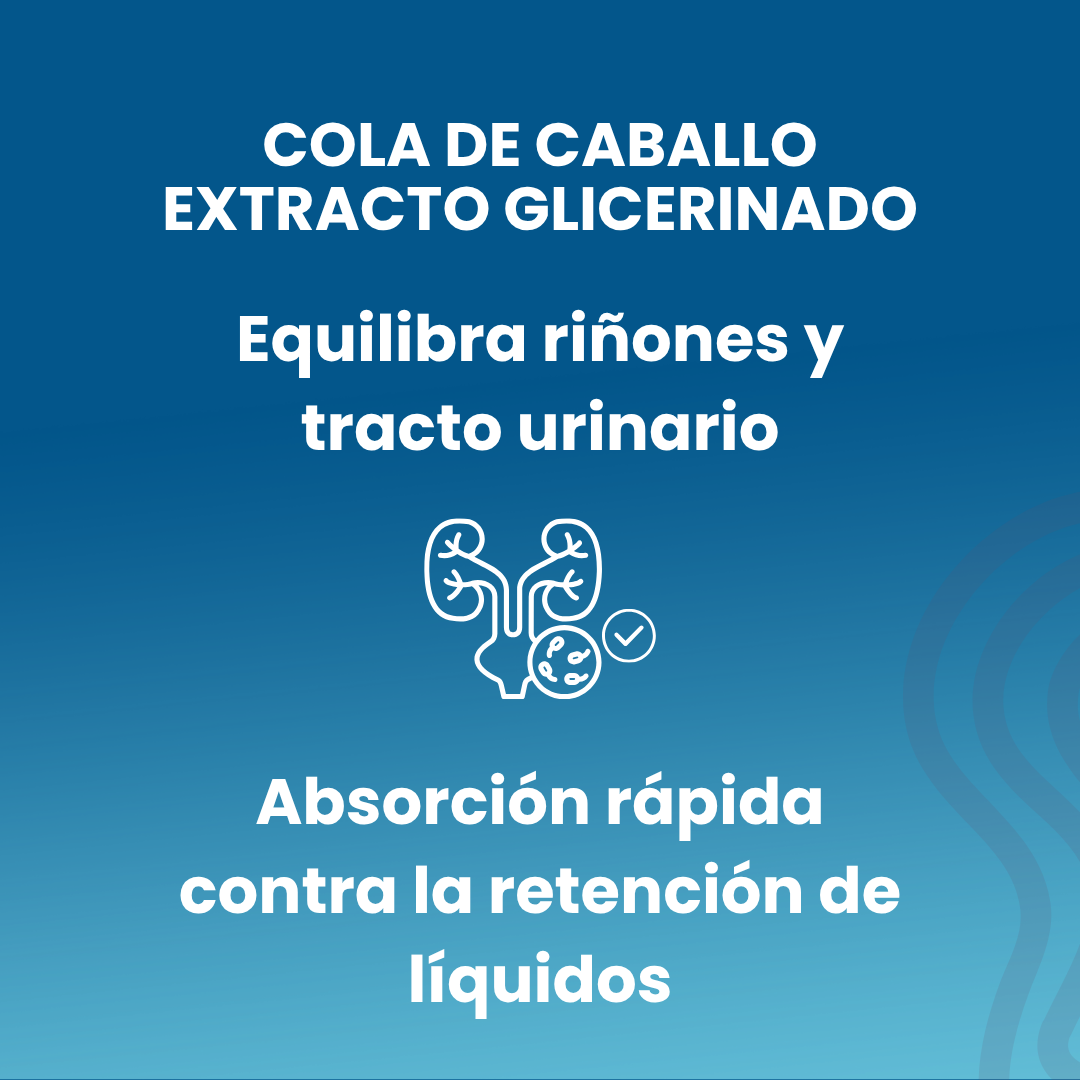 Cola de caballo extracto glicerinado, 50ml