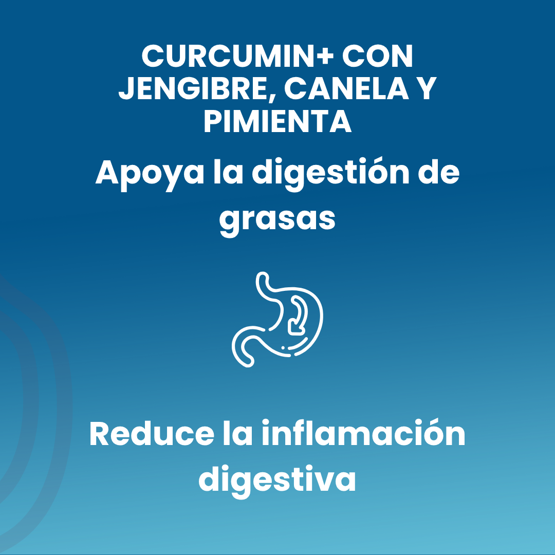 CURCUMIN+ con Jengibre, Canela y Pimienta 60 cápsulas vegetales de 550mg