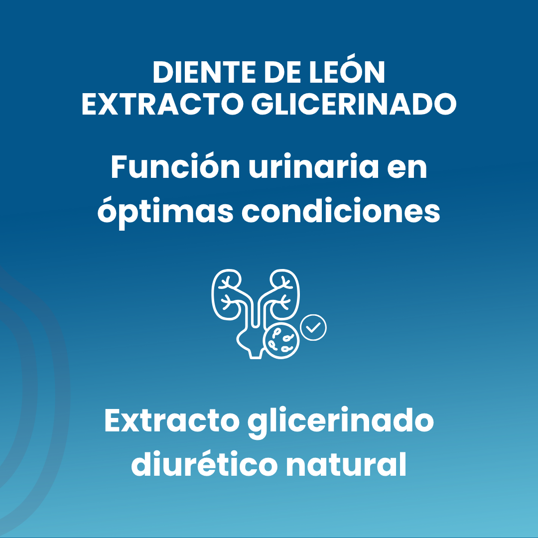 Diente de león extracto glicerinado, 50ml