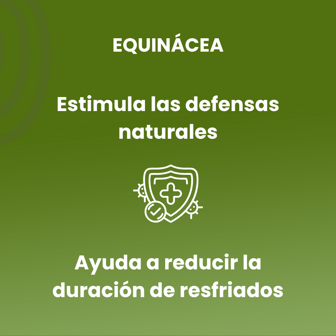 Echinacea 100 500mg Tablets