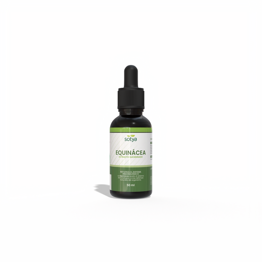 Equinácea extracto glicerinado, 50ml