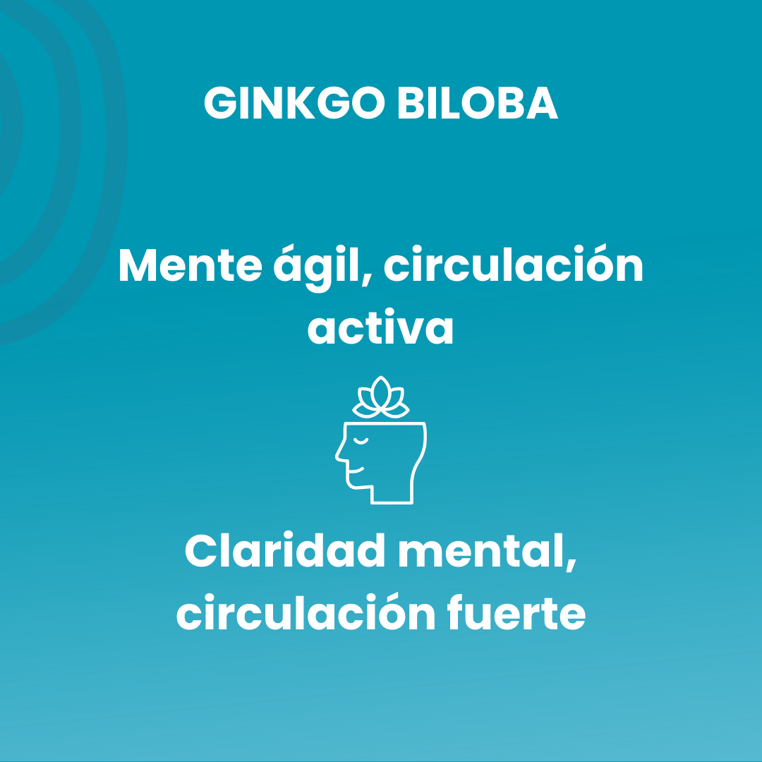 Ginkgo Biloba extract 50ml