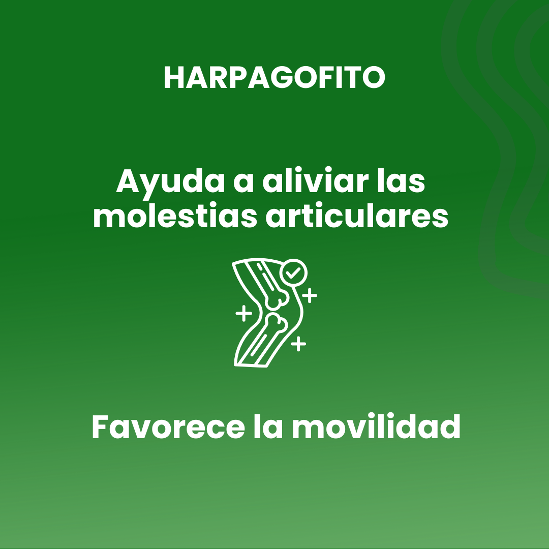 Harpagofito 100 comprimidos de 500mg