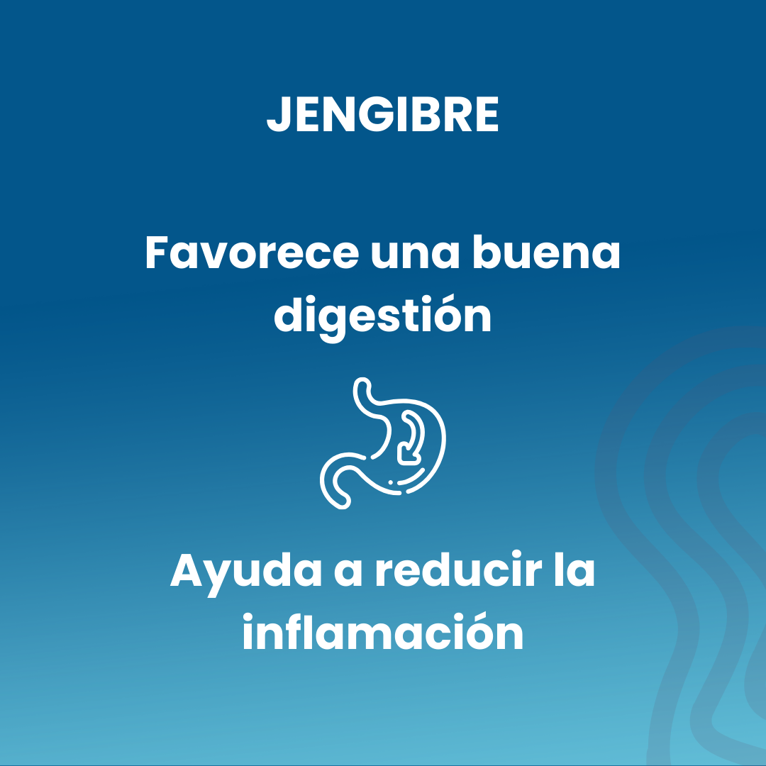 Ginger 120 Vegetable Capsules of 430mg