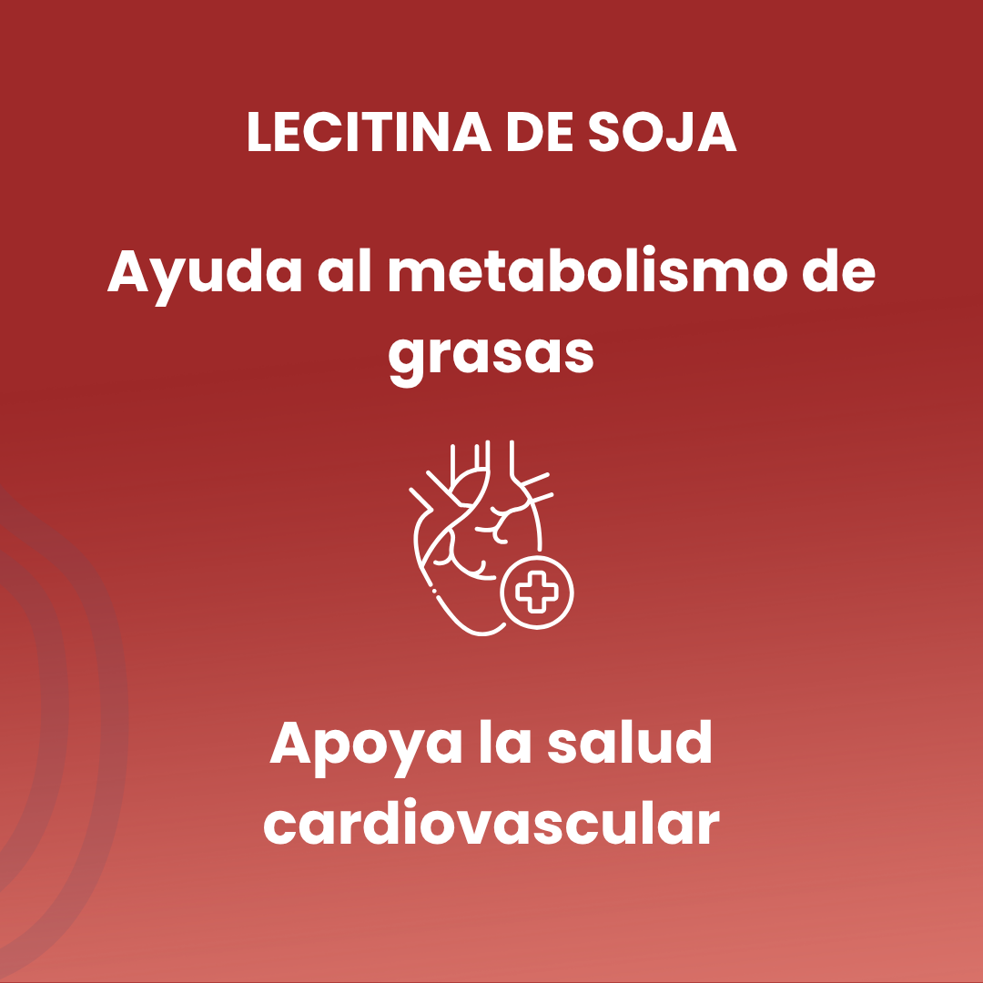 Soy Lecithin 90 Pearls of 1600mg