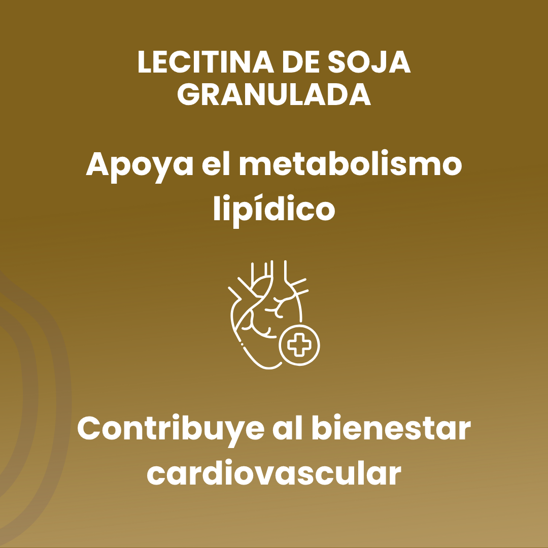 IP Granulated Soy Lecithin