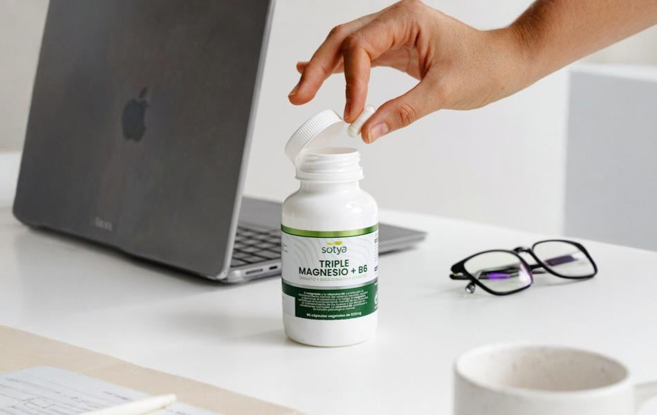 Sotya: Control de calidad desde el principio hasta el final