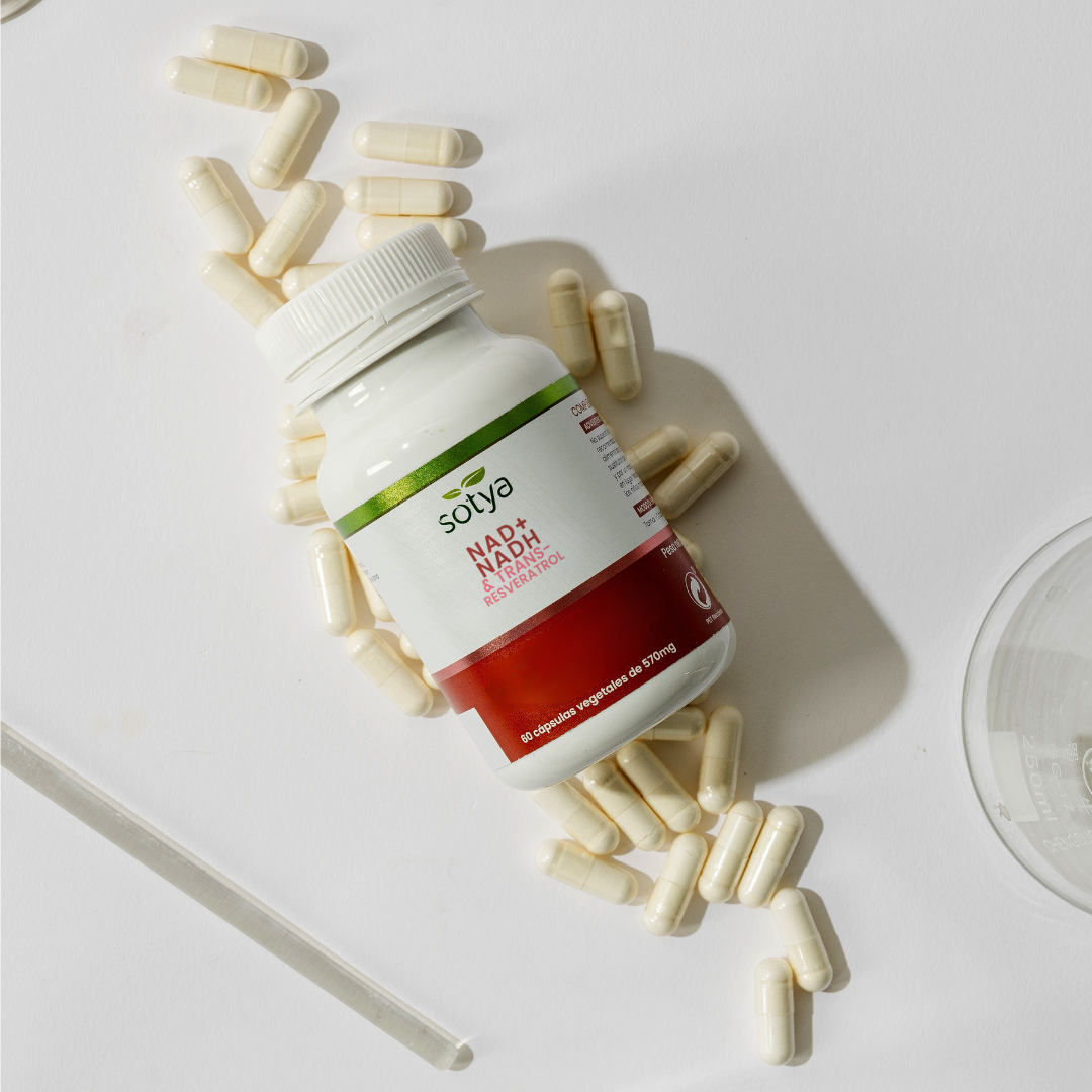 NAD+ NADH & Trans-Resveratrol