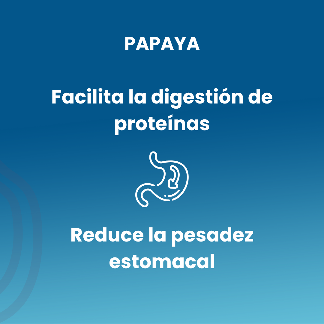 Papaya 100 chewable tablets of 600 mg