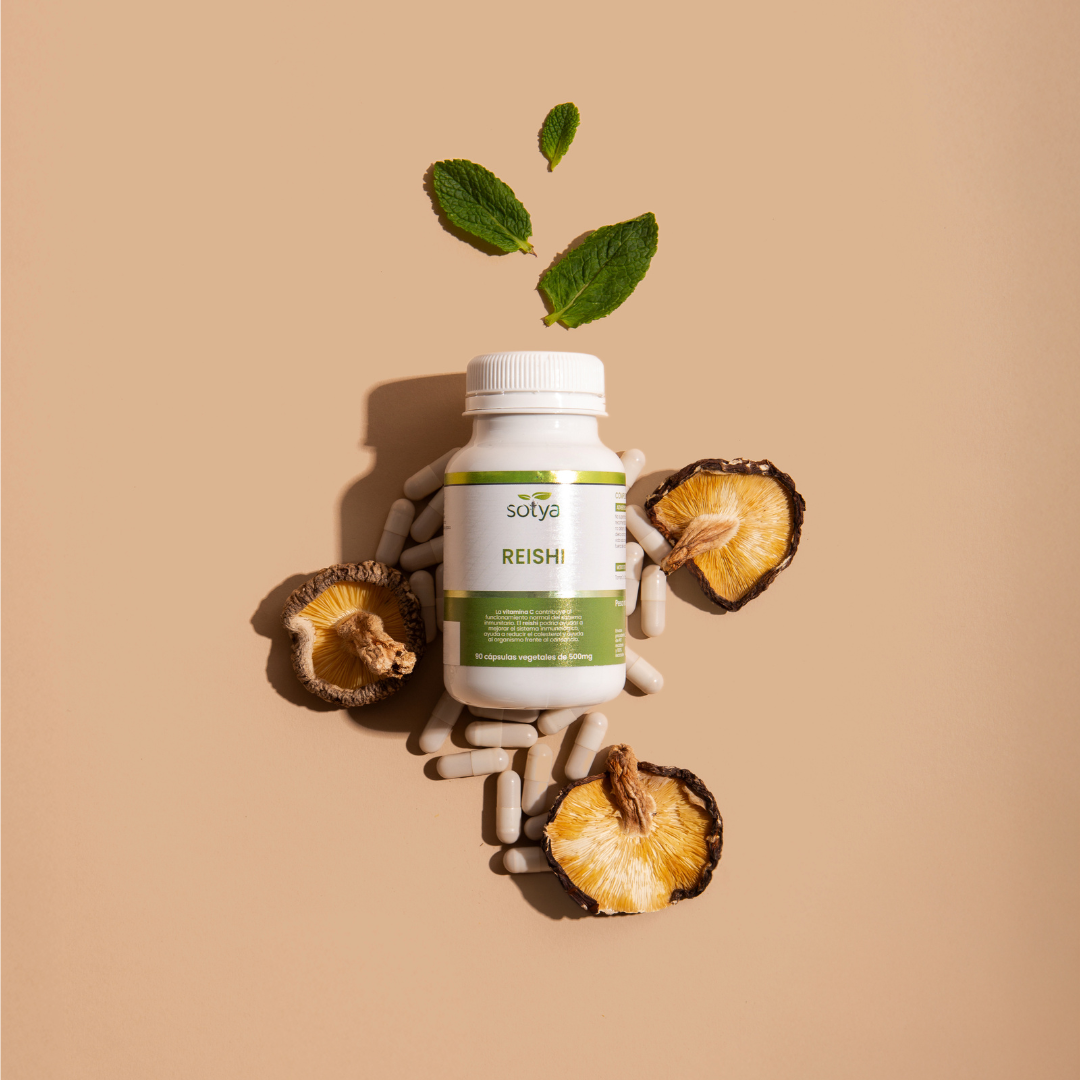 Reishi 90 Capsules of 500mg