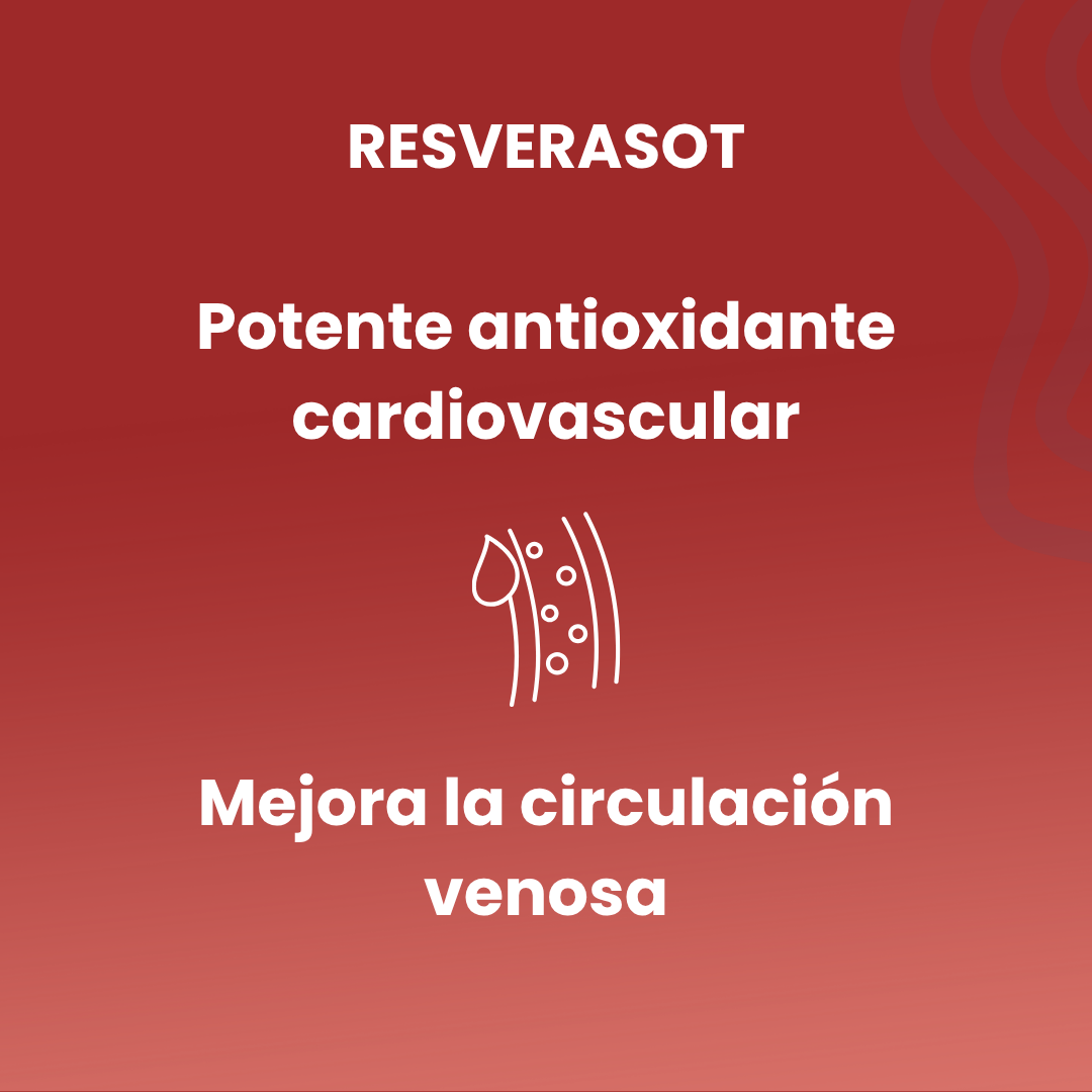 Resverasot 80 vegetable capsules of 510 mg
