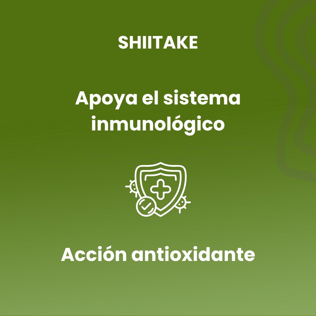 Shiitake 90 cápsulas vegetales de 460mg