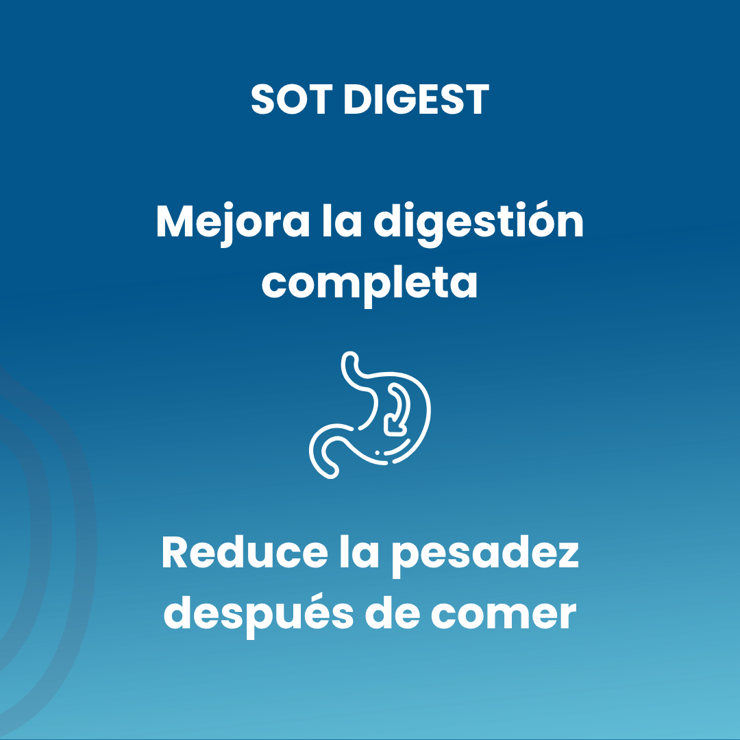 SOT DIGEST 90 550mg vegetable capsules
