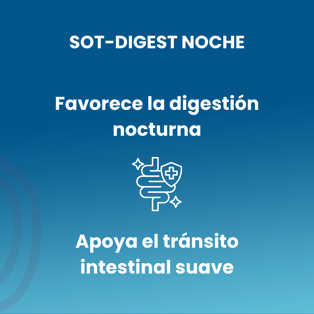 SOT-DIGEST noche 60 cápsulas vegetales de 520mg
