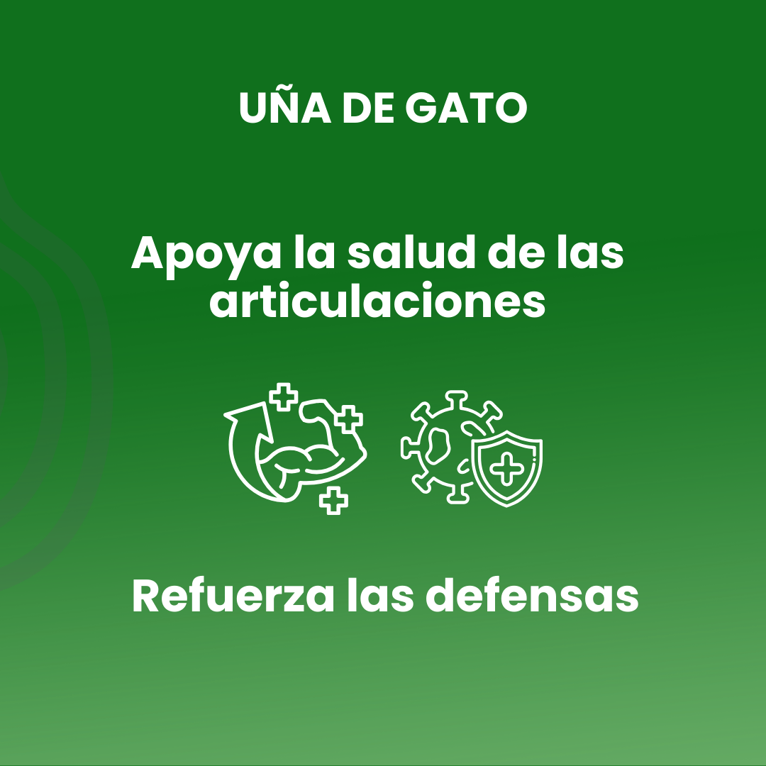 Uña de gato 100 comprimidos de 500mg