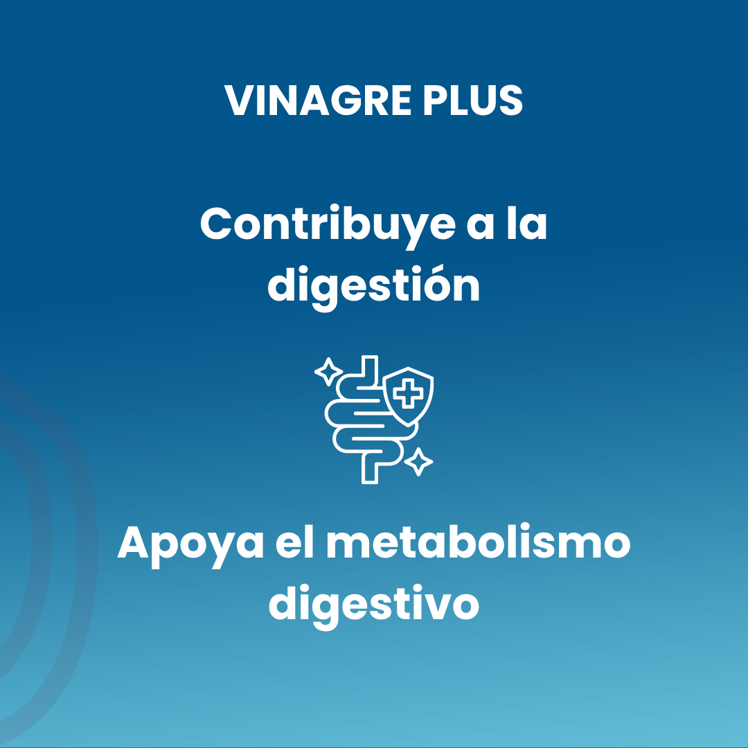 Vinegar Plus 100 vegetable capsules of 550 mg