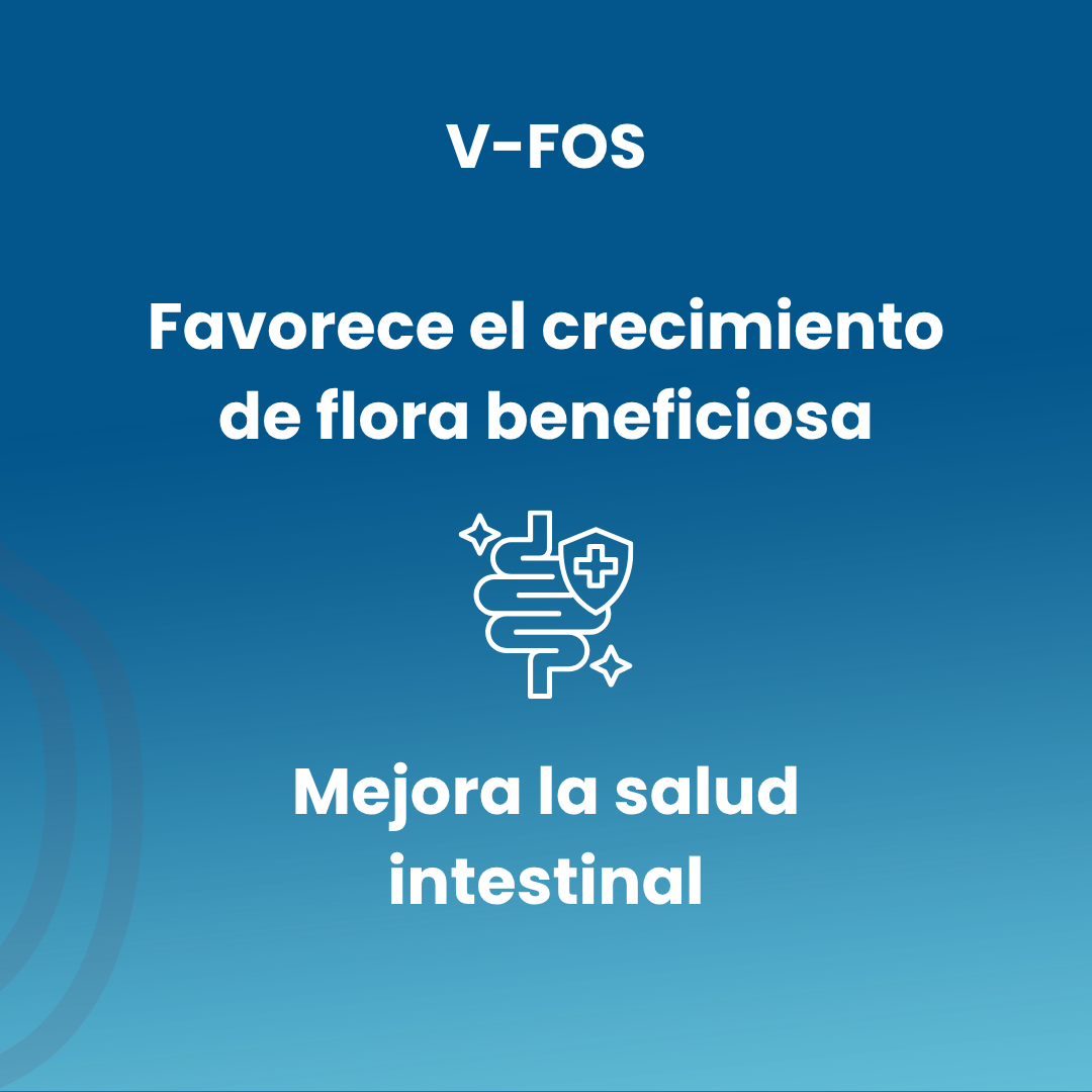 V-FOS 100 700mg Tablets