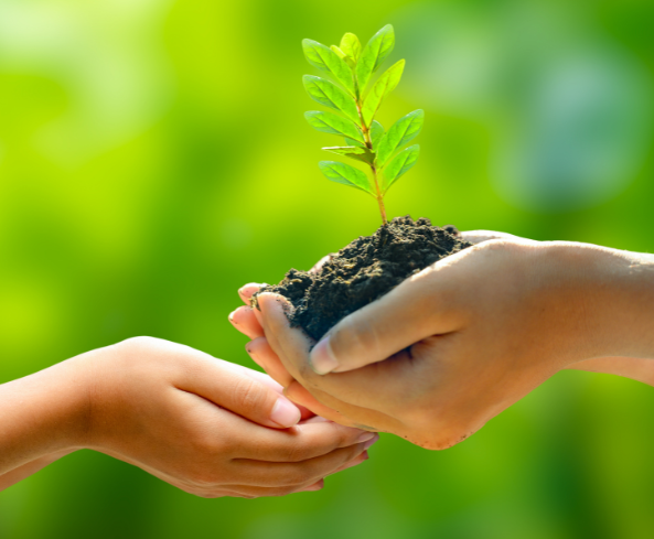 En Sotya apostamos por la salud del planeta también